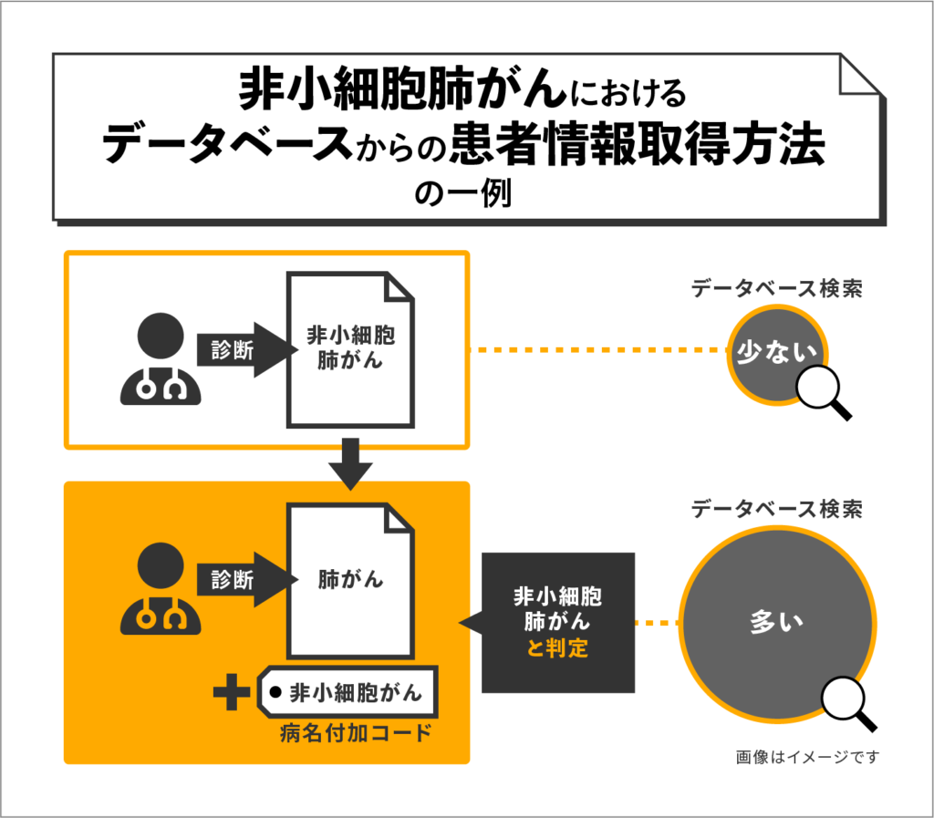 非小細胞肺がんにおけるデータベースからの患者情報取得方法の一例