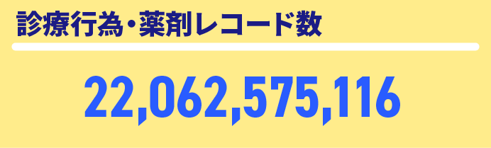 診療行為・薬剤レコード数22,062,575,116個