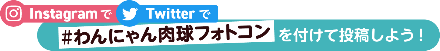 Instagramで Twitterで #わんにゃん肉球フォトコン を付けて投稿しよう！