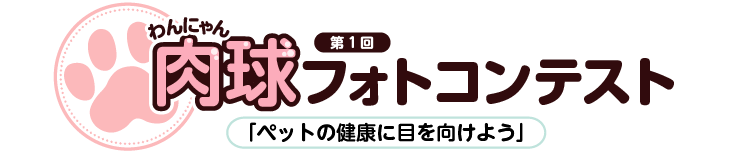 第1回わんにゃん肉球フォトコンテスト「ペットの健康に目を向けよう」